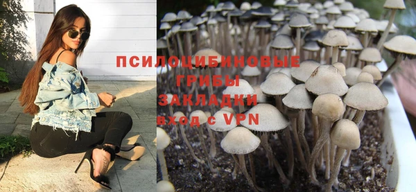 ALPHA PVP Киреевск