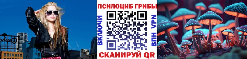 Псилоцибиновые грибы Cubensis  Купить закладки  Аткарск 